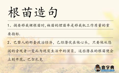 根苗造句