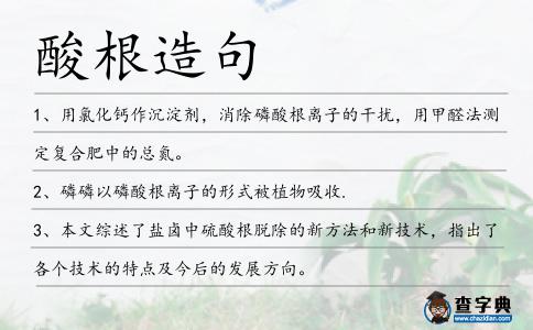 酸根造句