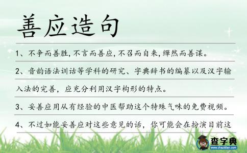 善應造句