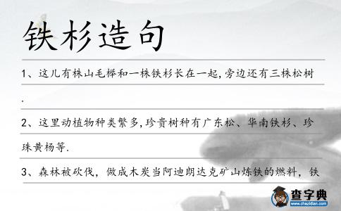 鐵杉造句