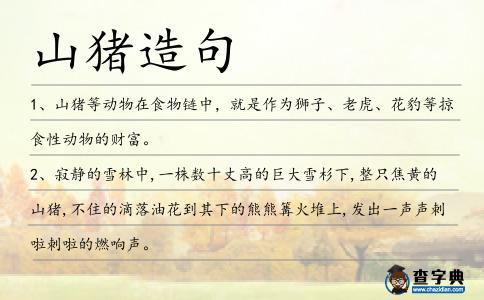 山豬造句