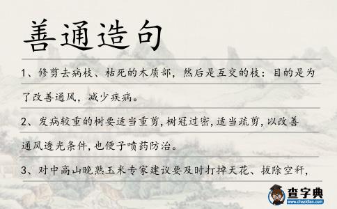 善通造句