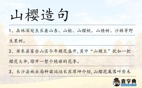 山櫻造句