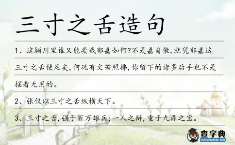 三寸之舌造句