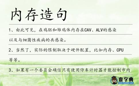 內存造句
