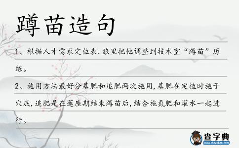 蹲苗造句