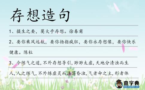 存想造句