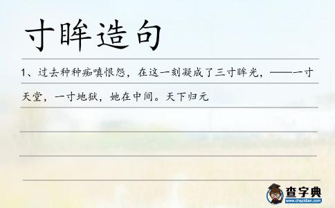 寸眸造句