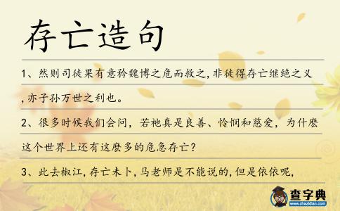 存亡造句