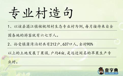 專業村造句