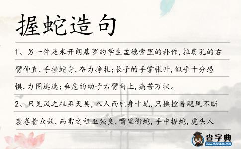 握蛇造句