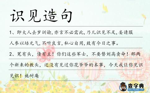 識見造句