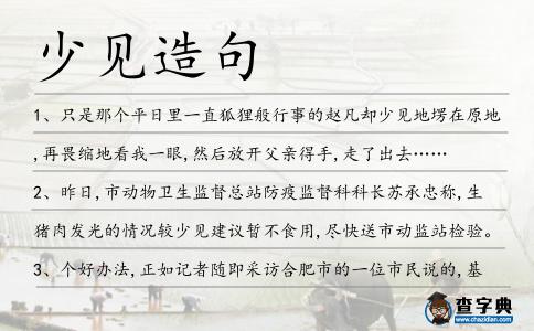 少見造句
