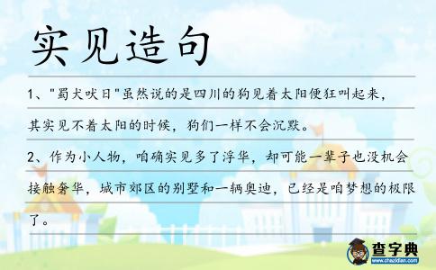 實見造句