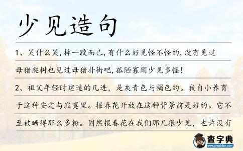 少見造句