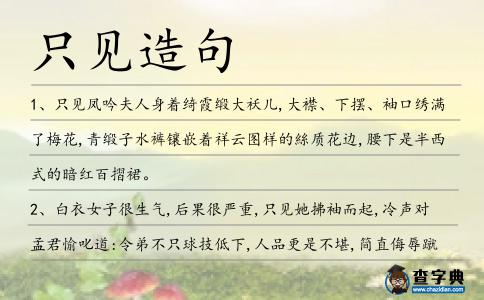 只見造句