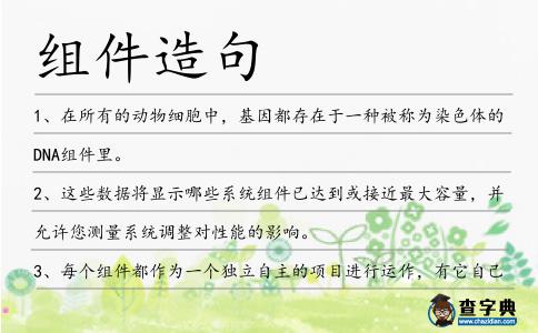 組件造句