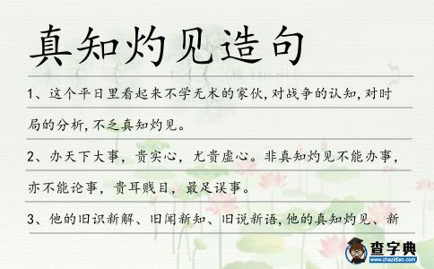 真知灼見造句