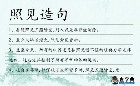 照見造句