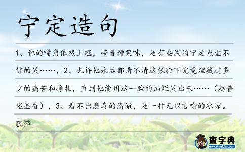 寧定造句