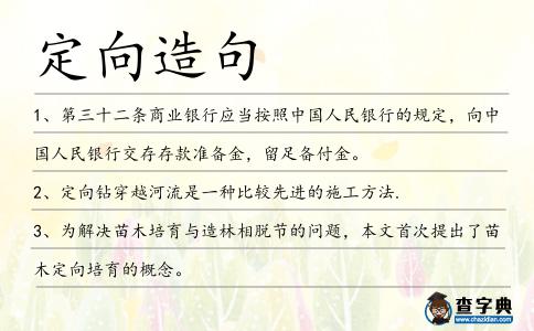 定向造句