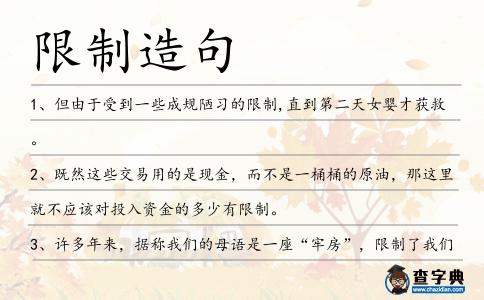 限制造句