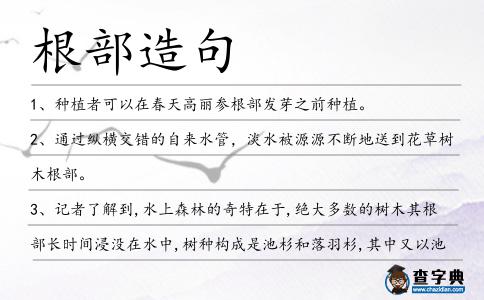 根部造句
