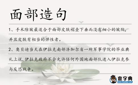 面部造句
