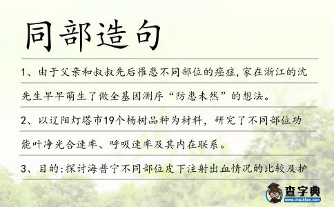 同部造句