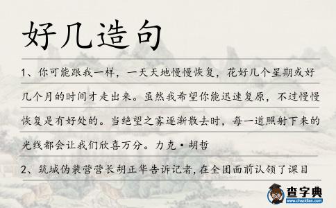 好幾造句