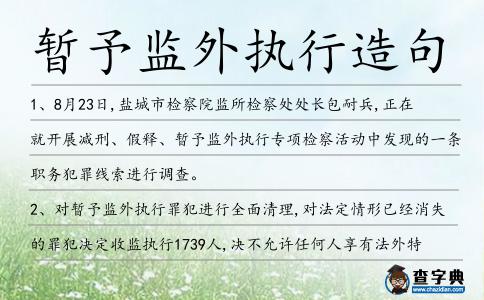 暫予監外執行造句