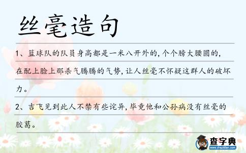 絲毫造句