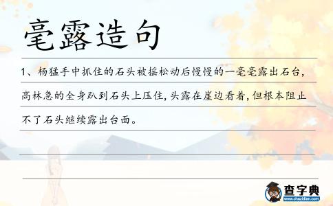 毫露造句