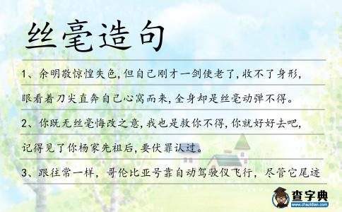 絲毫造句