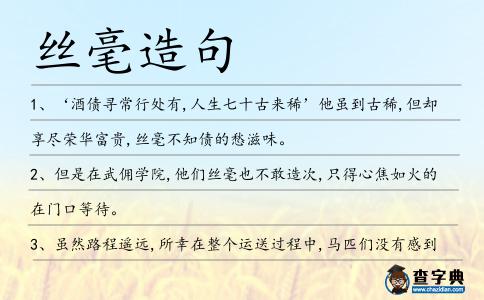 絲毫造句