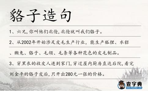 貉子造句