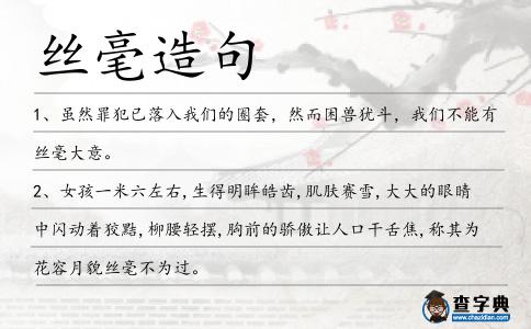 絲毫造句