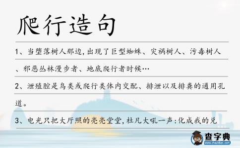 爬行造句