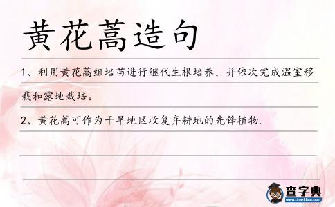 黃花蒿造句