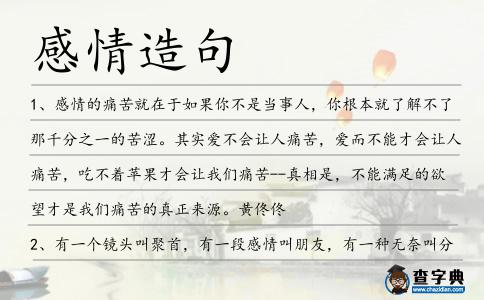 感情造句