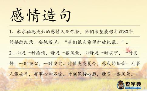 感情造句