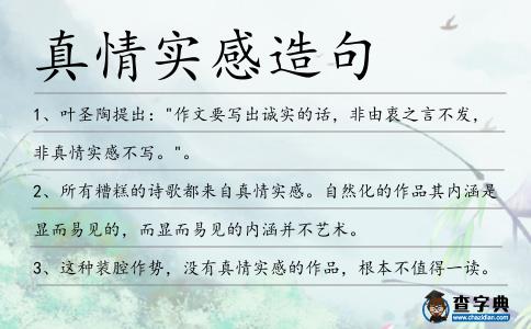 真情實感造句