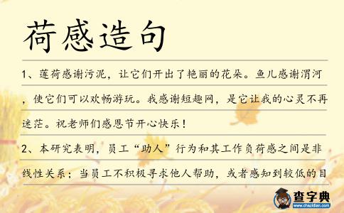 荷感造句