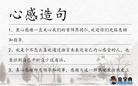 心感造句