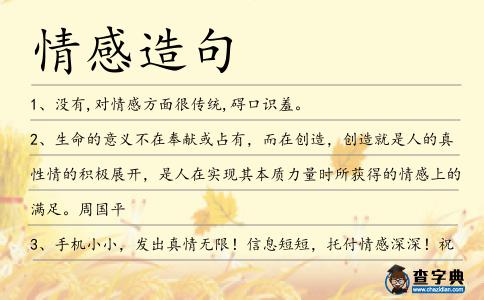 情感造句