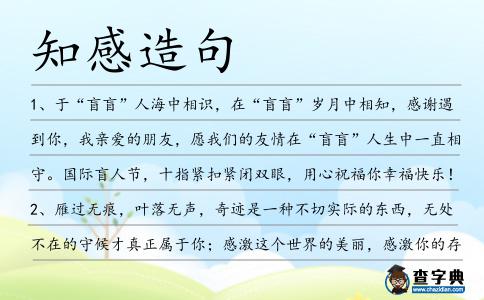 知感造句