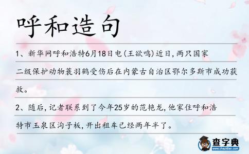 呼和造句