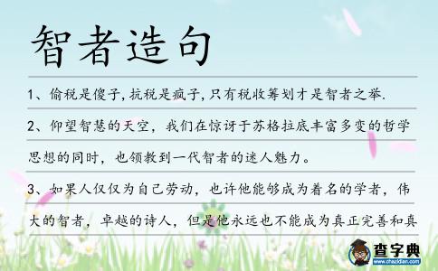智者造句