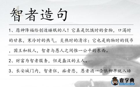 智者造句