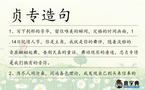 貞專造句